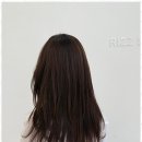 리즈헤어살롱 - 구미시 | 리즈헤어살롱