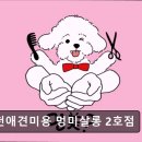 부천애견미용 멍미살롱2호점 이미지