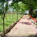 안성중학교 이미지