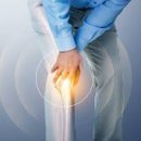 관절천국 이미지