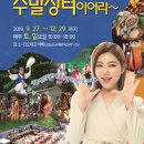 D.C장터