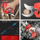 샤인머스켓 BK시들레스 왕산딸기 보리수 MBA(머루포도) 묘목 이미지