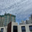 성산로L | 용인 베이커리 대형 카페 칼리오페