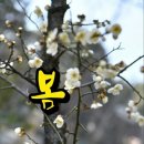 봄이오는소리