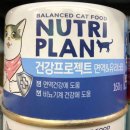 뉴트리플랜