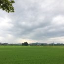 고창 | [전북 고창] 대형카페 백일후애 후기