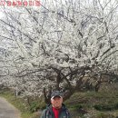 화개농장 이미지