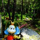 금원산자연휴양림 이미지