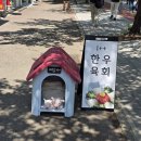 설악면 축산정육점앞 | 해운대 좌동 정육점 예담축산 소고기 돼지갈비 구입 후기