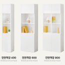 효율적 공간 활용에 탁월한 e스마트 와이즈 전면책장 후기