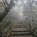 장수사우나목욕탕 | 02. 제주여행: 가을(2일차)