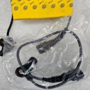 로고스카센타 이미지