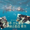 스쿠버스토리 | 제주 스노쿨링 서귀포 호핑투어 스쿠버스토리 문섬 포인트 예약 및 꿀팁