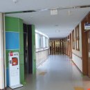 대덕초등학교도룡분교 네이버블로그