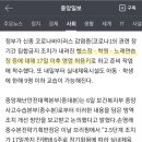 감성 피티 이미지