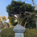 삼산2길 이미지