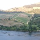 와인과 세계문화 이미지