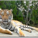 오-월드 이미지