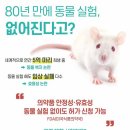 동물 실험 폐지... '신약 임상'에 혁명적 변화 온다 이미지