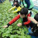 추부만인산농협 이미지