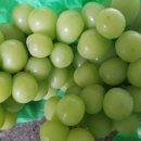 재길농장 이미지