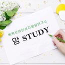 브레인맘연구소 네이버블로그