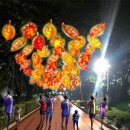 나인트리프리미어호텔 명동2 이미지