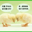 순자네 이미지