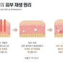 비앤씨피부과의원 이미지