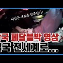 '한국 블박이 드디어 해냈다!' UN과 전세계에 공개된, 한국에서 최초 촬영된 #페달블랙박스 영상, 과거 수많은 급발진 주장들이 ... 이미지