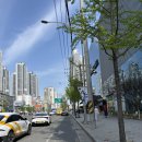 31140-9-27-5 | 대구 파라다이스 웨딩 컨벤션 결혼식장 투어 후기 주차장 27년 상반기 견적