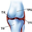 건강한 봄철 운동을 위해서 운동전 스트레칭은 필수인거 아시죠?:) 이미지