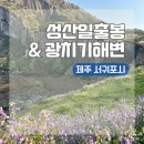 제주도 서귀포 여행 필수 방문지ㅣ성산일출봉 무료 코스와 광치기해변