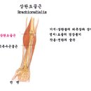 티에스짐 이미지