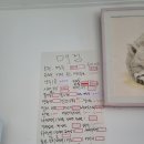 로로포레 | 가평 단체펜션 추천, 가족여행시 방문하기 좋은 가평 로로포레(스와니) 내돈내산 후기