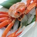 싱싱푸드 이미지