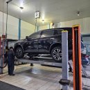 프로미자주카 이미지