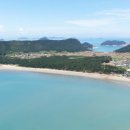 진도 서울일보