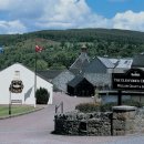 가나선물백화점 이미지