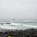 1192 | 제주애견동반식당 성산읍맛집 쉐프1192 호텔경력30년 숨은고수