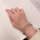 피터스반