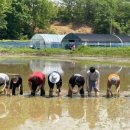 공감 사회적협동조합 이미지