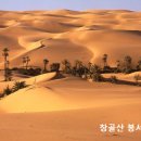 유대,태양력 비교 이미지