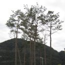 마애선사유적전시관 이미지