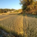 산천토담집 이미지