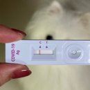 세븐일레븐 동인천다인점 | 태국 파타야 :: 인천공항 1터미널, 타이에어아시아, 돈므앙 공항, 뿌뻰, 워킹스트리트, 세븐일레븐