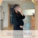 임신 후기 31주 32주 배크기 및 증상 :: Y존 치골 사타구니뼈 통증, 변비, 치질