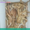 베드로낚시