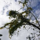 거목농장 이미지