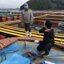 경상남도 수산안전기술원 이미지